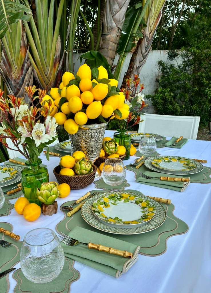 Isabella Reversible Spillproof Placemats + Coasters Bundle – Pistachio & Beige Trim (Set of 4)