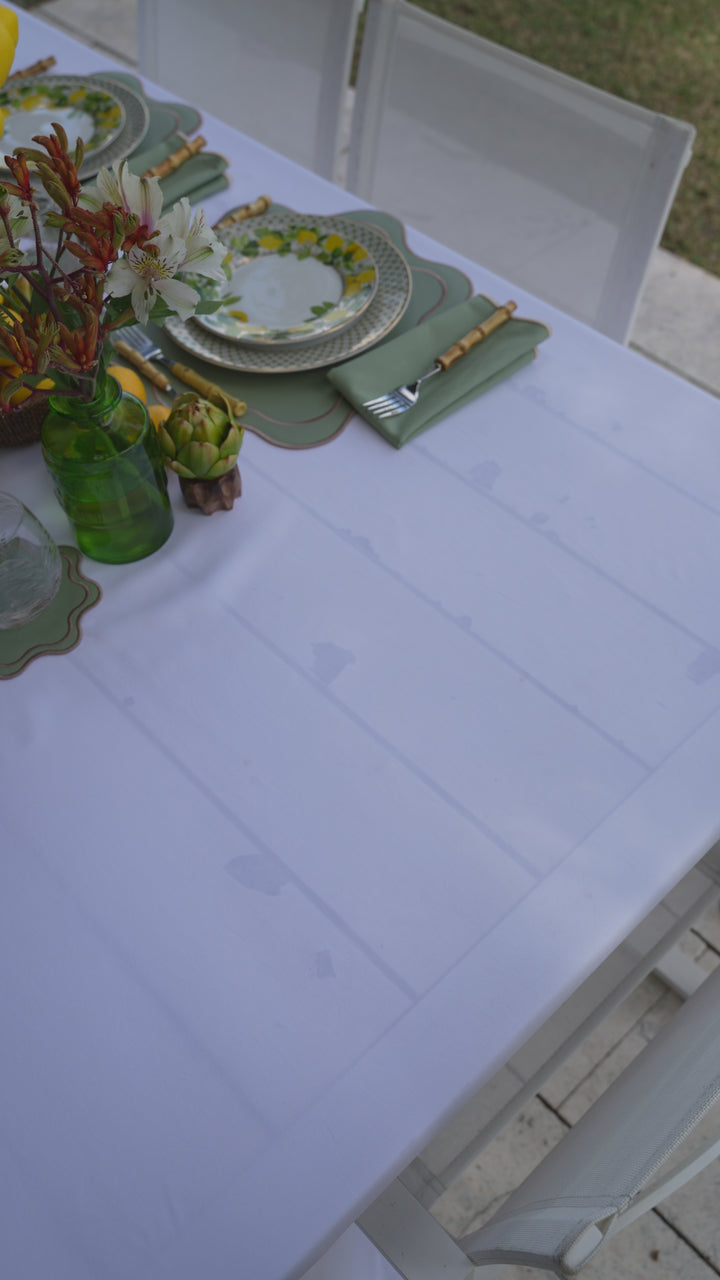 Isabella Reversible Spillproof Placemats + Coasters + Napkins Bundle – Pistachio & Beige Trim (Set of 4)